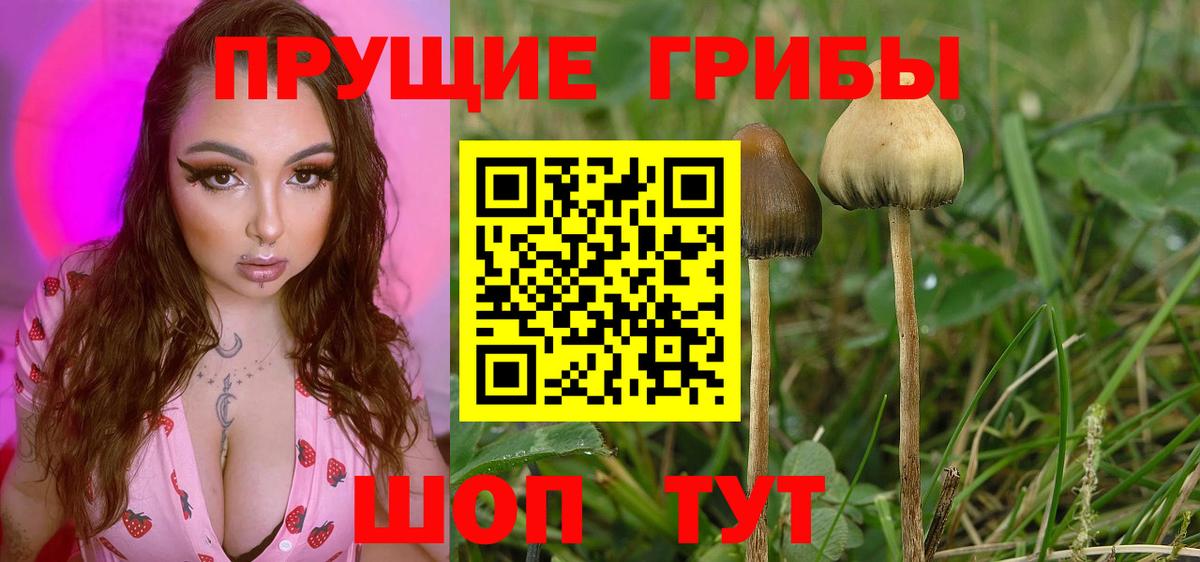 Псилоцибиновые грибы мицелий  Вход с VPN  как найти наркотики  Сланцы 
